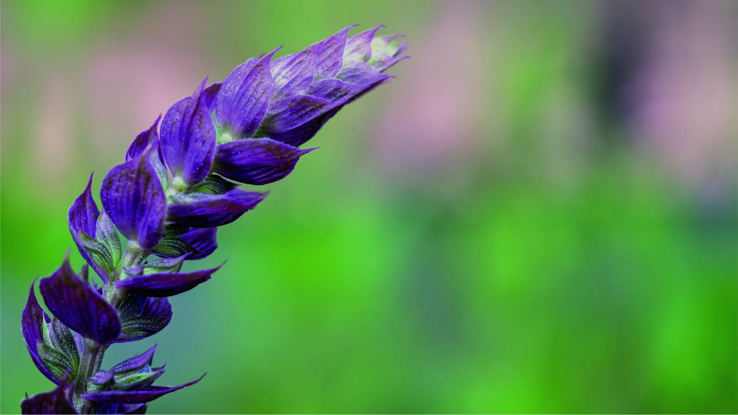 Mettameditation: Herzenspraxis