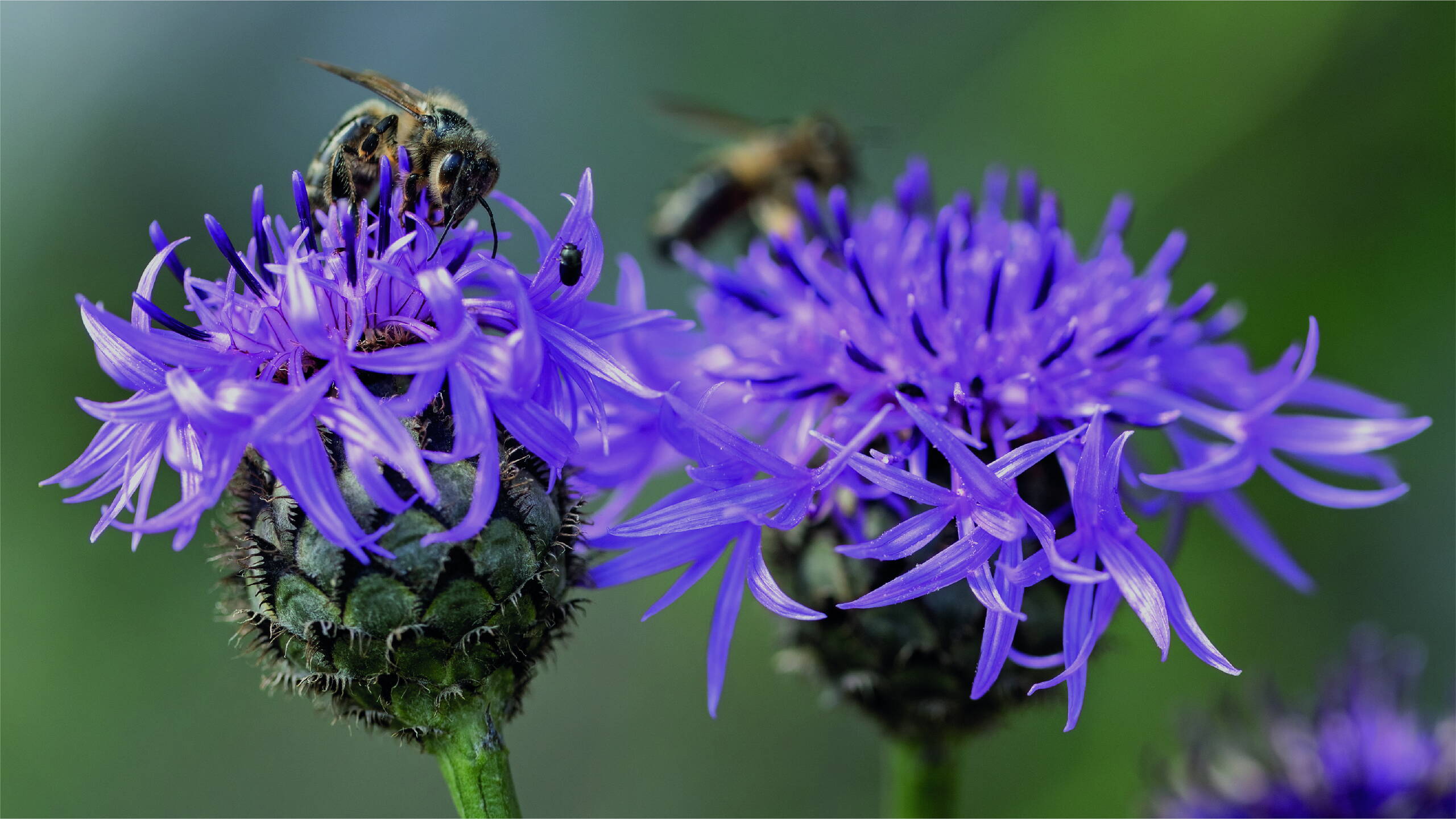 Bodyscan mit lächelndem Blick