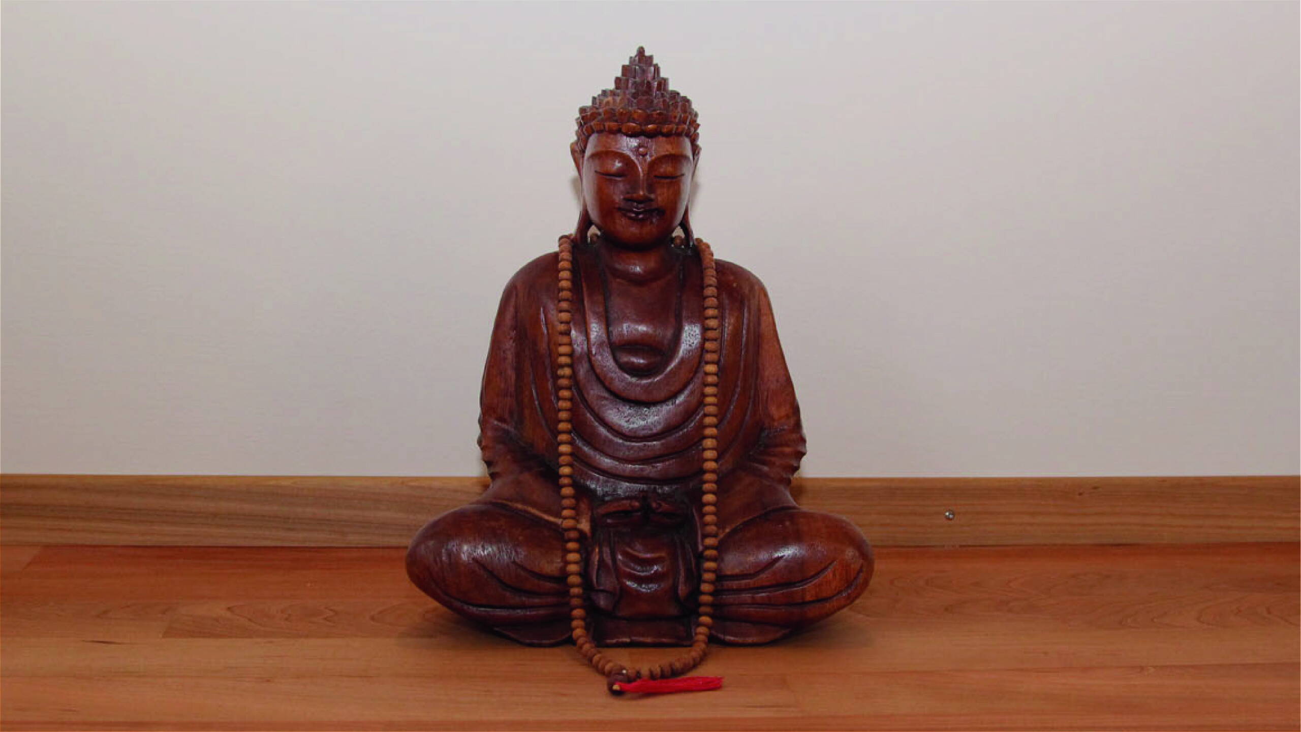 Die Gewahrseinspraxis