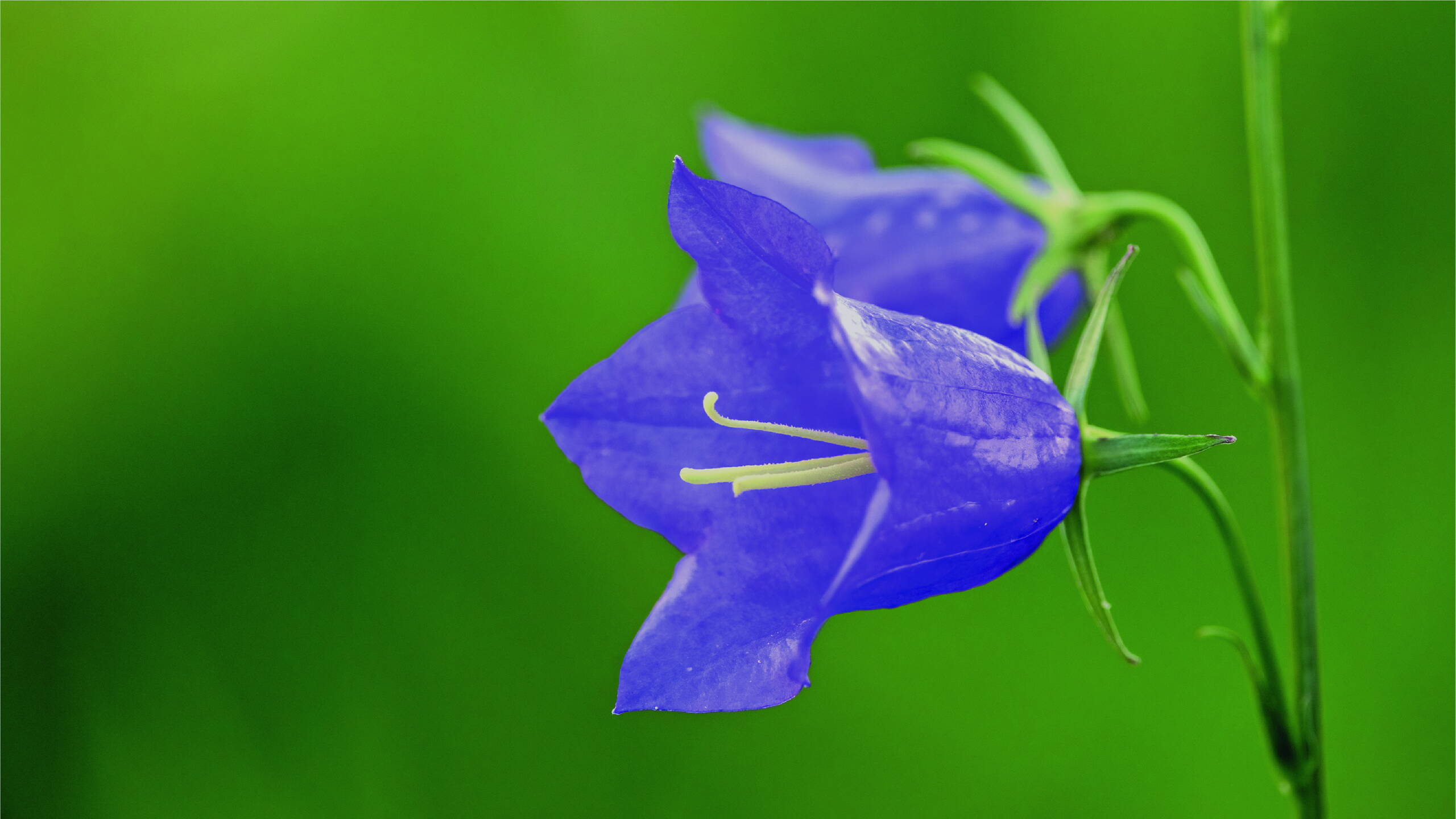 Der Raum des Gewahrseins