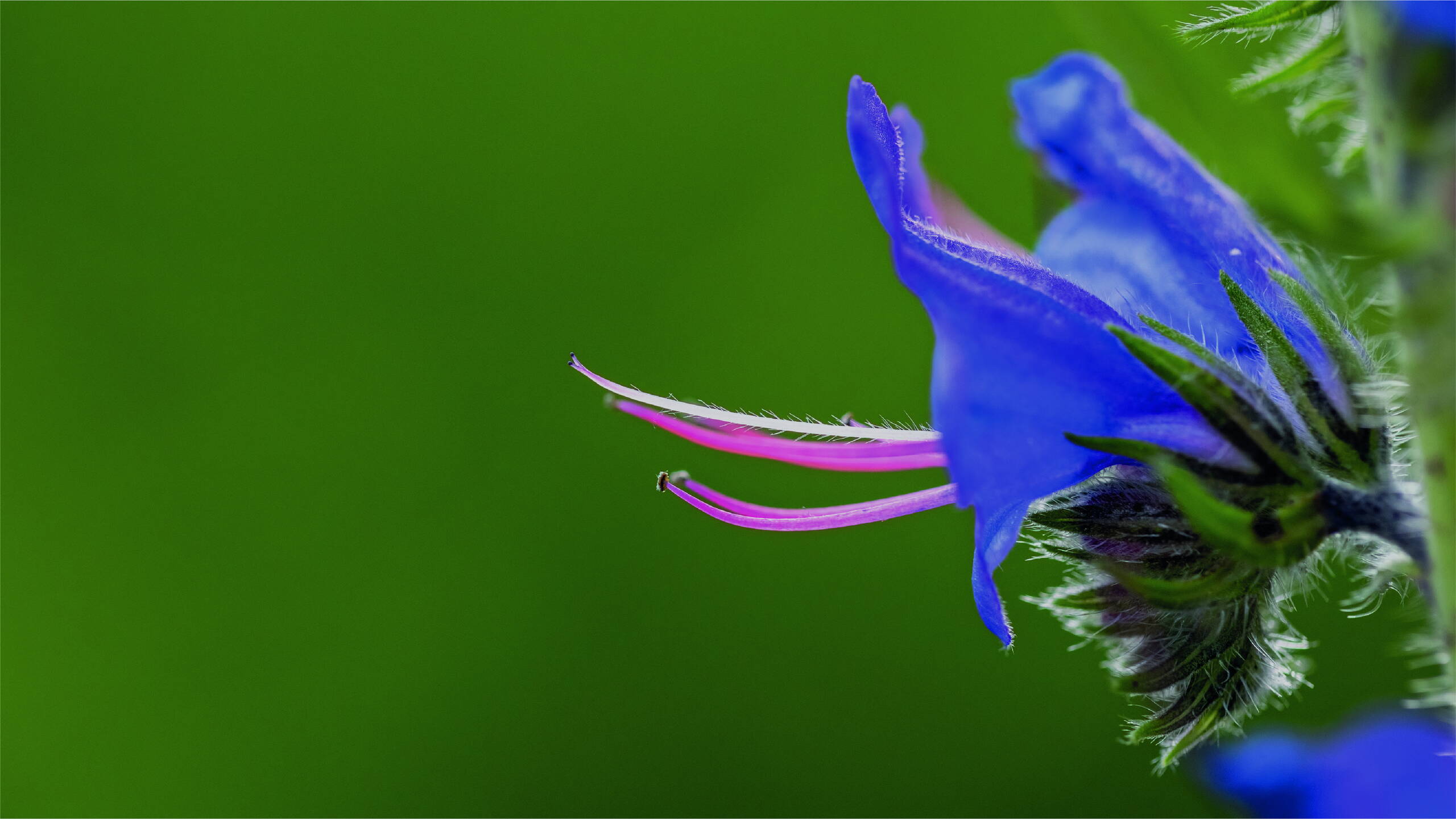 Gedanken beobachten und ziehen lassen