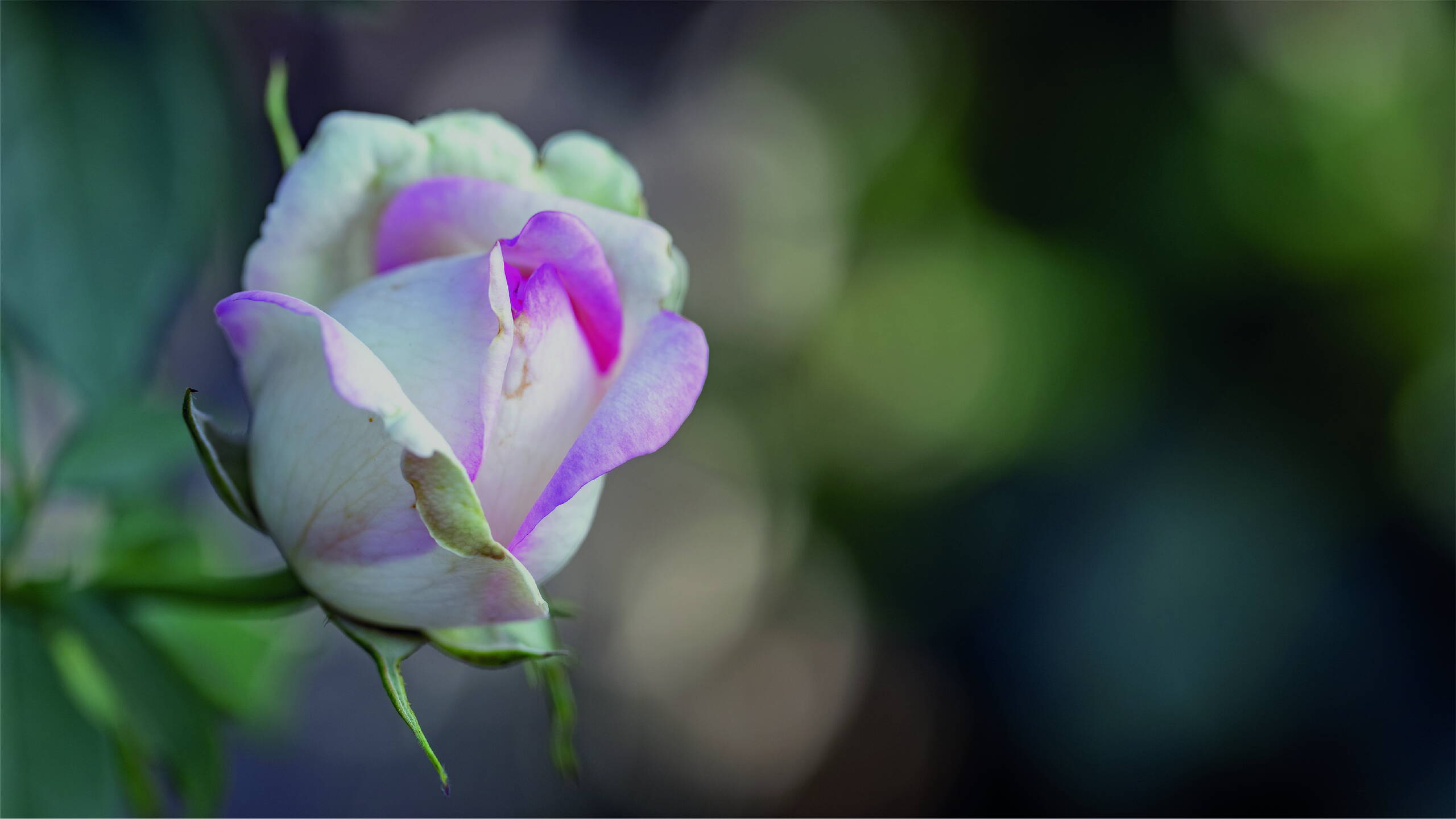 Herzgeist-Meditation